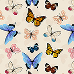 Canto - Butterflies