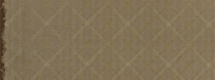 Collection CF - Tartan Single Border in Brown Metallic - Click Image to Close