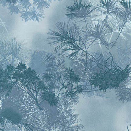 Enchanted Pines - Foliage in Fog - Click Image to Close