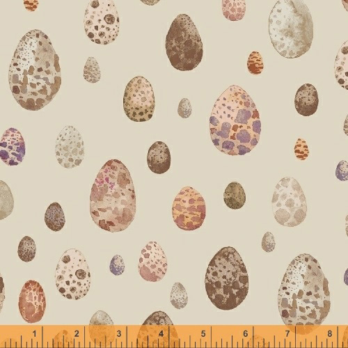 Curio - Eggs in Sand - Click Image to Close