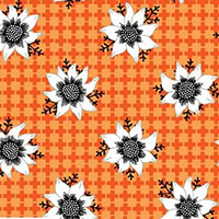Matilda - Flannel Flower in Orange