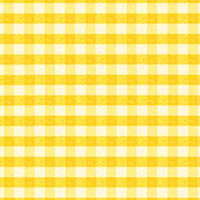 Puddle Jumpers - Gingham Check in Yellow