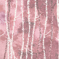 Sugar Plum - Winter Birch in Rose