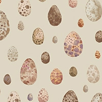 Curio - Eggs in Sand