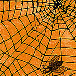 Wicked - Spider Web on Orange