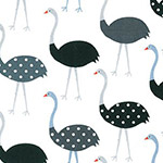 Urban Zoologie - Ostriches in Charcoal