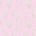 Sweet Bilby - Flannel Flower on Pink