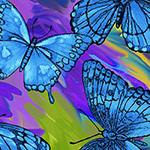 Rainforest - Butterfly Magic in Blue/Multi