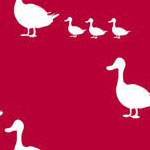 Ducks in Red