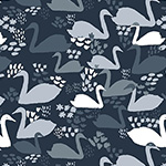Black Swan - Swan Song in Midnight