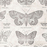 Eclectic Elements - (Monochrome) Butterflies in Parchment