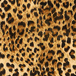 African Safari - Cheetah Skin