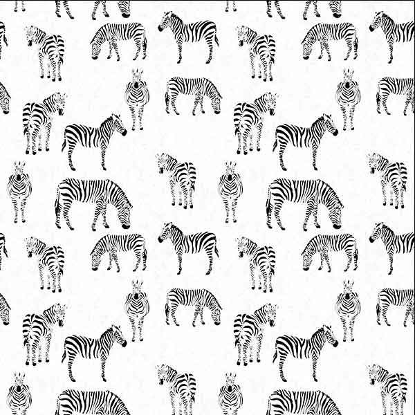 Black & Whites - Zebras in White - Click Image to Close