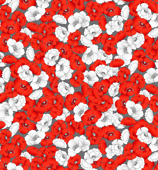 Poppy Promenade - Poppies in Bloom in Gray - Click Image to Close