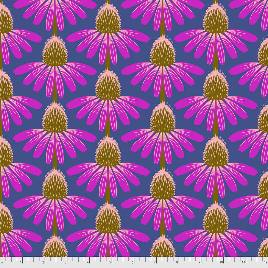 Love Always - Echinacea in Haute - Click Image to Close