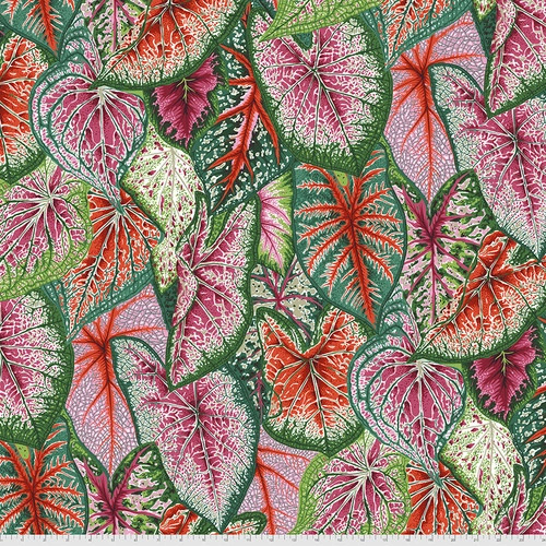 Kaffe Fassett Collective August 2021 - Caladiums in Bright - Click Image to Close