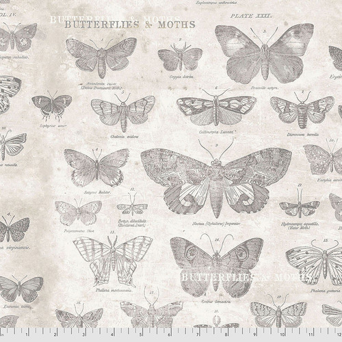 Eclectic Elements - (Monochrome) Butterflies in Parchment - Click Image to Close