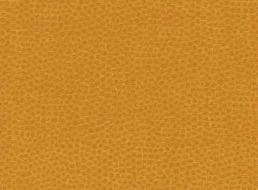 Sprinkles - Sprinkles Texture in Gold - Click Image to Close