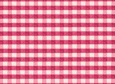 Puddle Jumpers - Gingham Check in Red - Click Image to Close