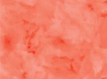Frakturs and Flourishes - Watercolour in Coral - Click Image to Close