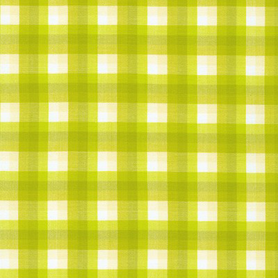 Kitchen Window Wovens - Gingham Gradient in Pickle - Click Image to Close