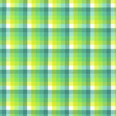 Kitchen Window Wovens - Gingham Gradient in Sage - Click Image to Close