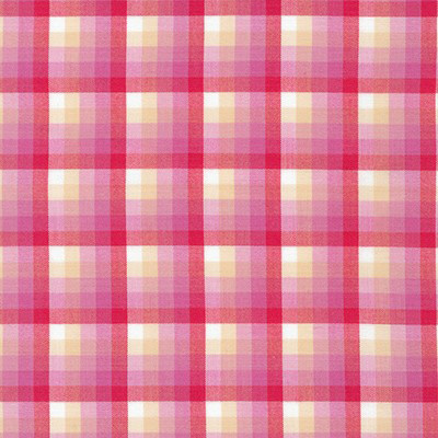 Kitchen Window Wovens - Gingham Gradient in Watermelon - Click Image to Close