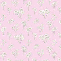 Sweet Bilby - Flannel Flower on Pink