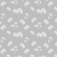 Sweet Bilby - Flannel Flower on Soft Grey
