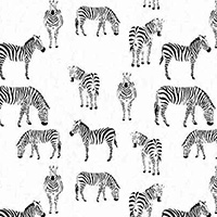 Black & Whites - Zebras in White
