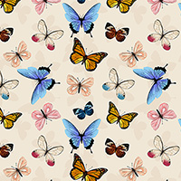 Canto - Butterflies