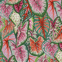 Kaffe Fassett Collective August 2021 - Caladiums in Bright