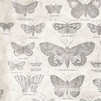 Eclectic Elements - (Monochrome) Butterflies in Parchment