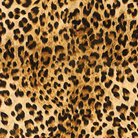 African Safari - Cheetah Skin