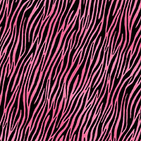 Jewel Tones - Zebra in Hot Pink