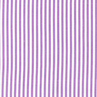 Little Stripe in Purple