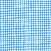 Gingham Play - Gingham in Blue