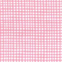 Gingham Play - Gingham in Carnation