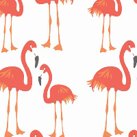 Lula Flamingo Orange