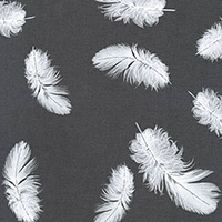 Black and White 2 - Feathers in Jet