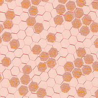 Spring Shimmer - Honeycomb in Blush