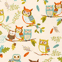 Forest Fellows - Owls in Nature