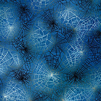 Raven Moon - Spider Web in Spooky