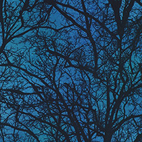 Raven Moon - Tree Silhouette in Spooky