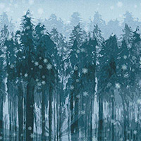 Sugar Plum - Winter Forest in Midnight