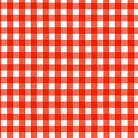 Kitchen Window Wovens - Gingham in Flame