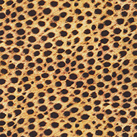 Animal Kingdom Minis - Cheetah Spots in Wild