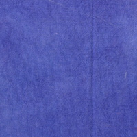 Palette - Blueberry