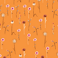 Far Far Away III - Wildflowers in Orange
