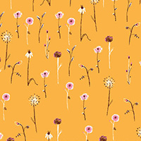 Far Far Away III - Wildflowers in Marigold